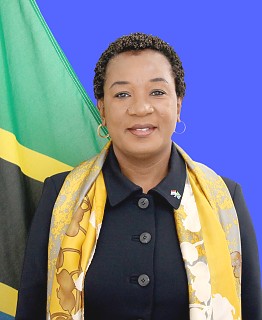 H.E. Ambassador Caroline Kitana Chipeta - Ambassador & PR to the OPCW (& accredited to ICC, ICJ & CFC)